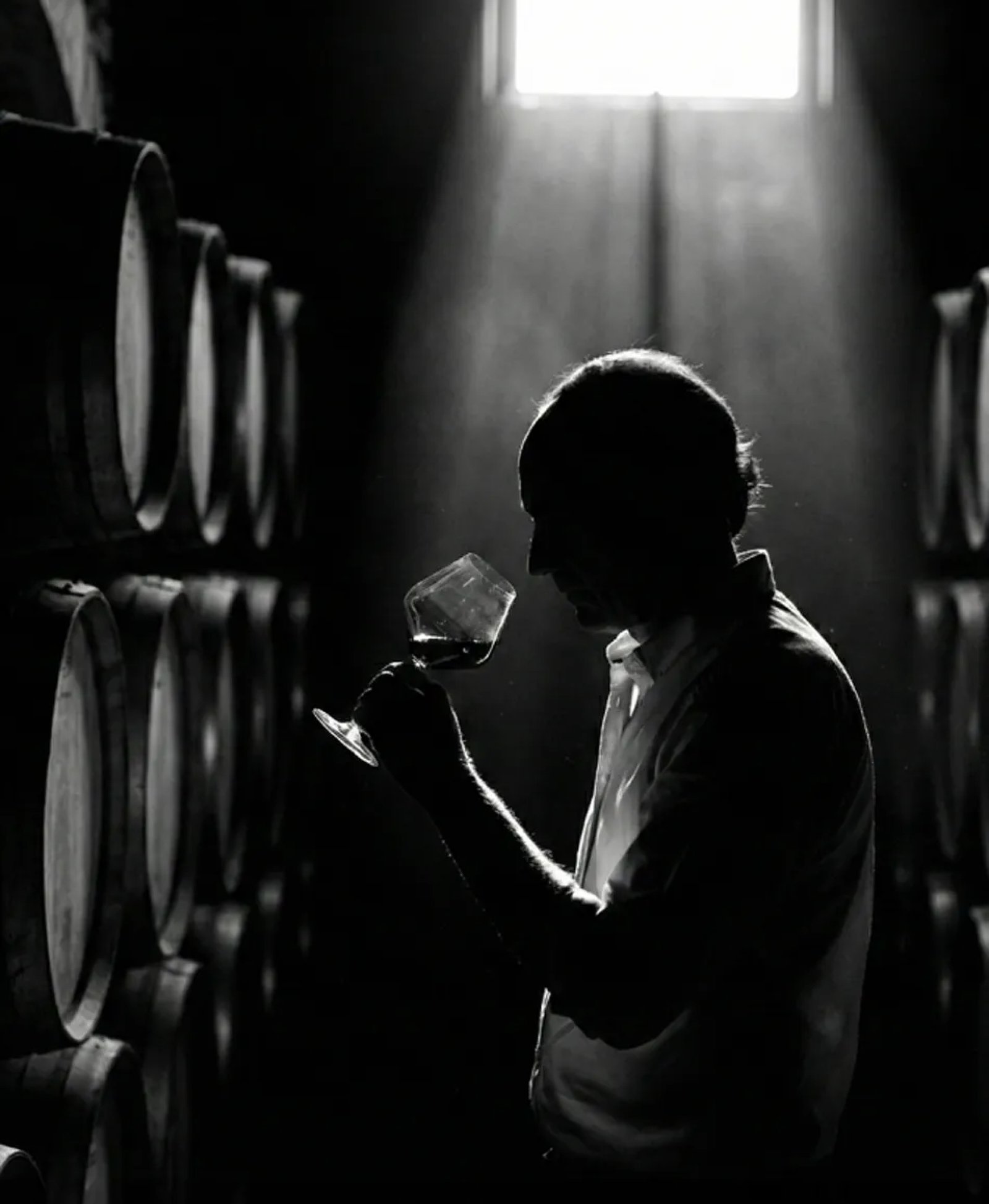 Enólogo de Cultor degustando un vino en la bodega